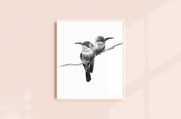 a framed graphite drawing of two birds on a branch, against a blush wall