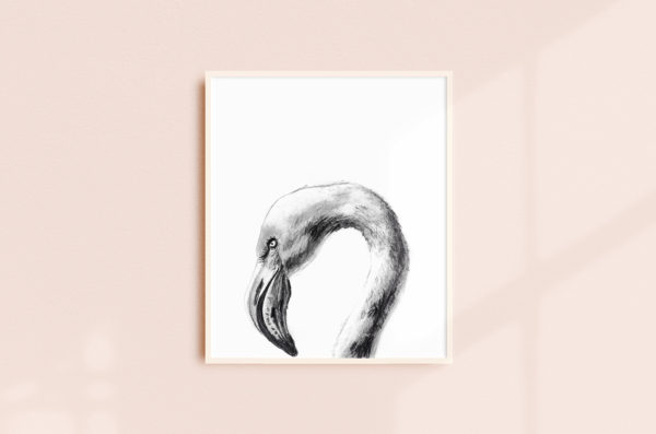A framed graphite drawing of a flamingo head on a blush wall
