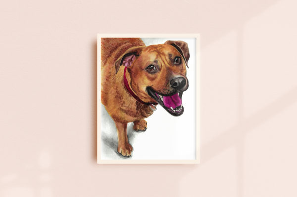 watercolor painting of a brown dog, framed on a blush wall
