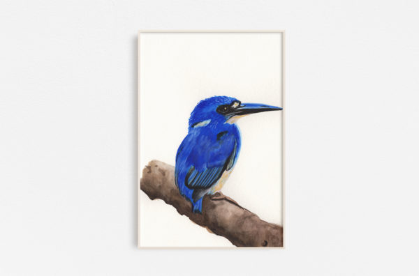 Watercolor painting of a Blue Kingfisher