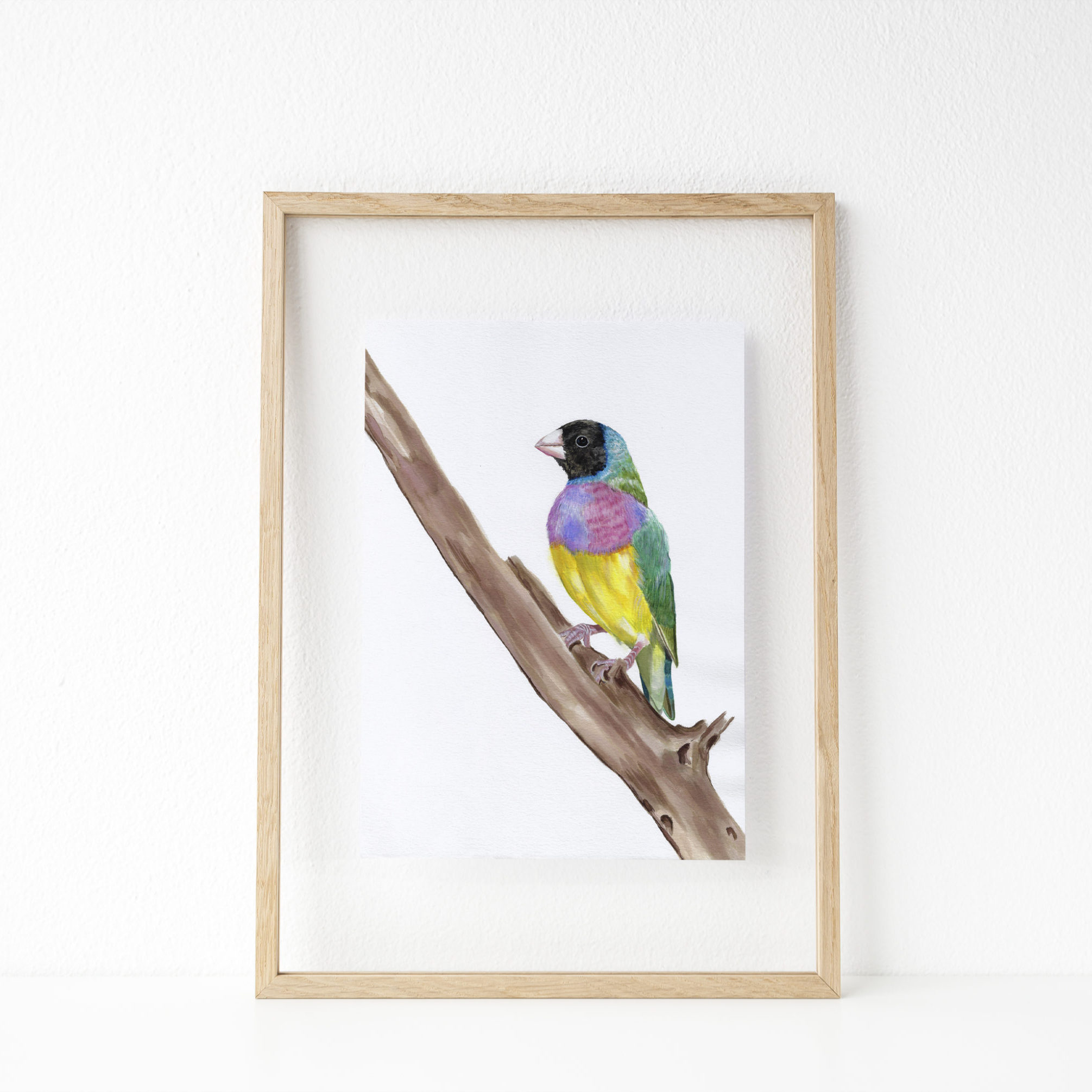 watercolor painting of a purple, yellow, blue and green bird (Gouldian Finch) perched on a branch in a wooden frame